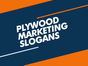 plywood marketing slogans