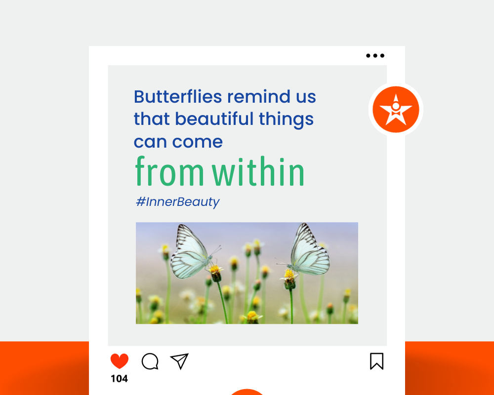 Butterfly Captions for Instagram