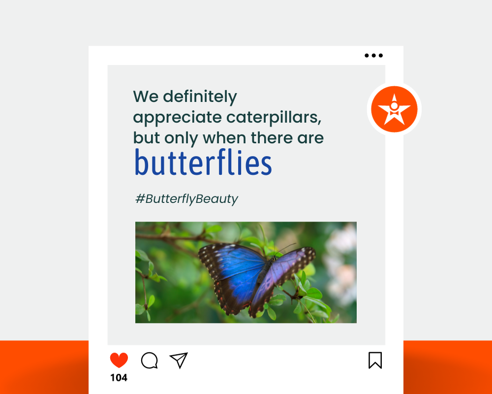 Butterfly Captions with Emojis
