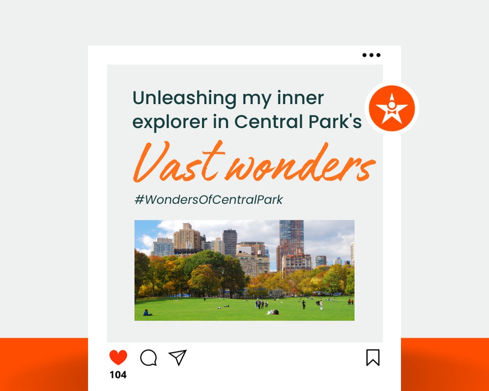 Central Park captions with emojis