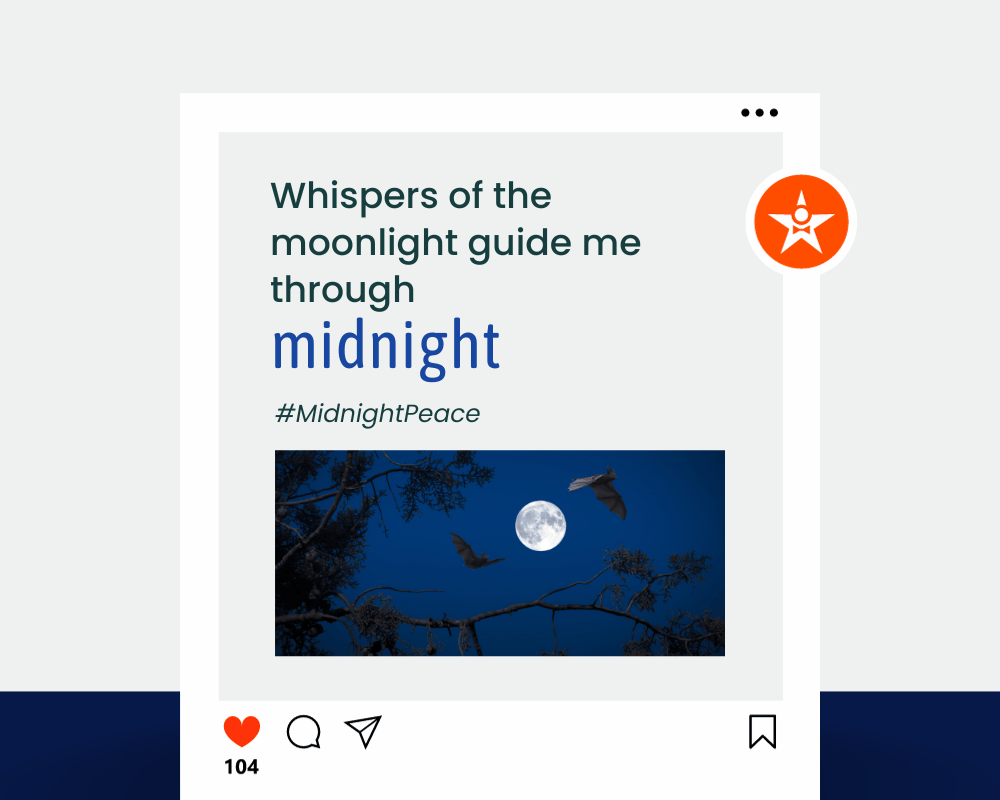 Midnight Captions